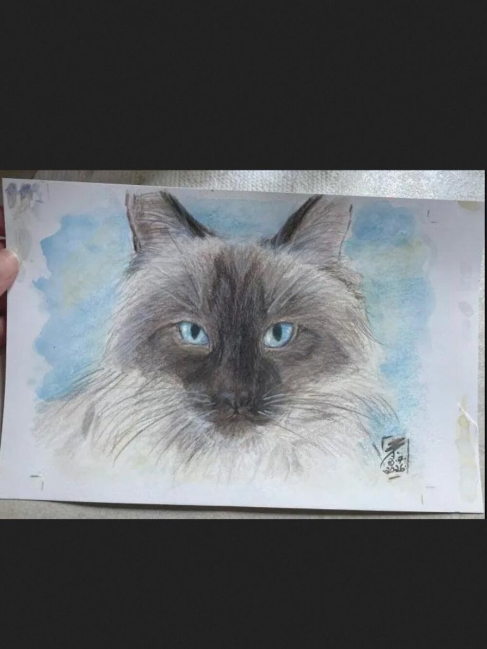Ragdoll Cat - Original Mixed-Media Watercolor Painting Art Artwork 9 x 6 in